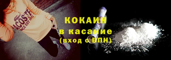 шишки Алексин