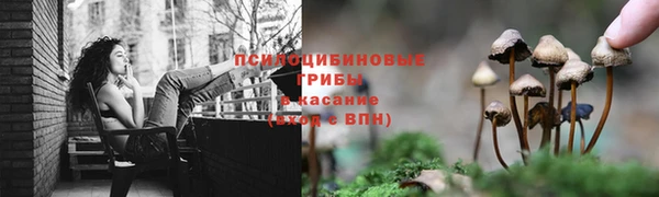 шишки Пролетарск