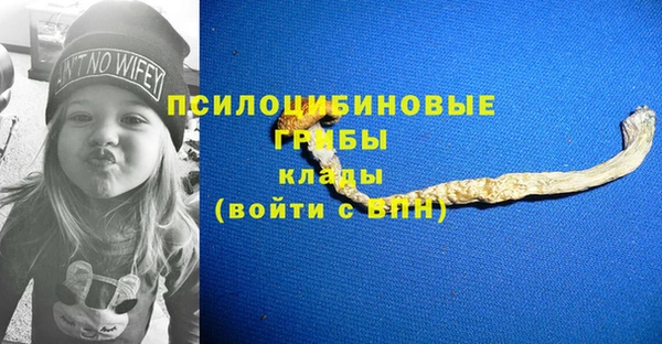шишки Алексин