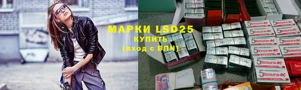 тгк Алзамай