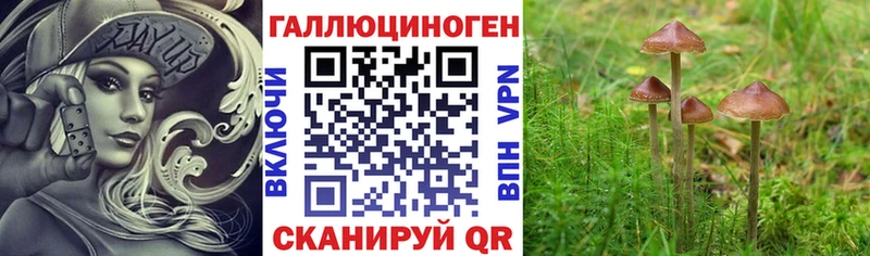 Псилоцибиновые грибы GOLDEN TEACHER  Большой Камень 